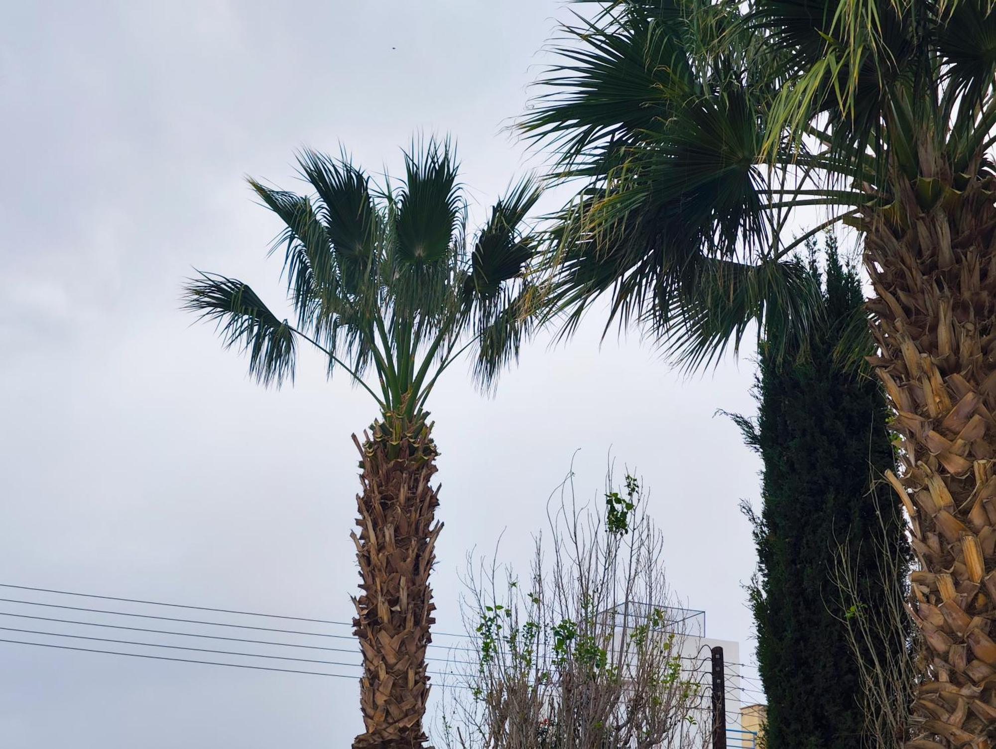 Sunset Green 03 Paphos ภายนอก รูปภาพ