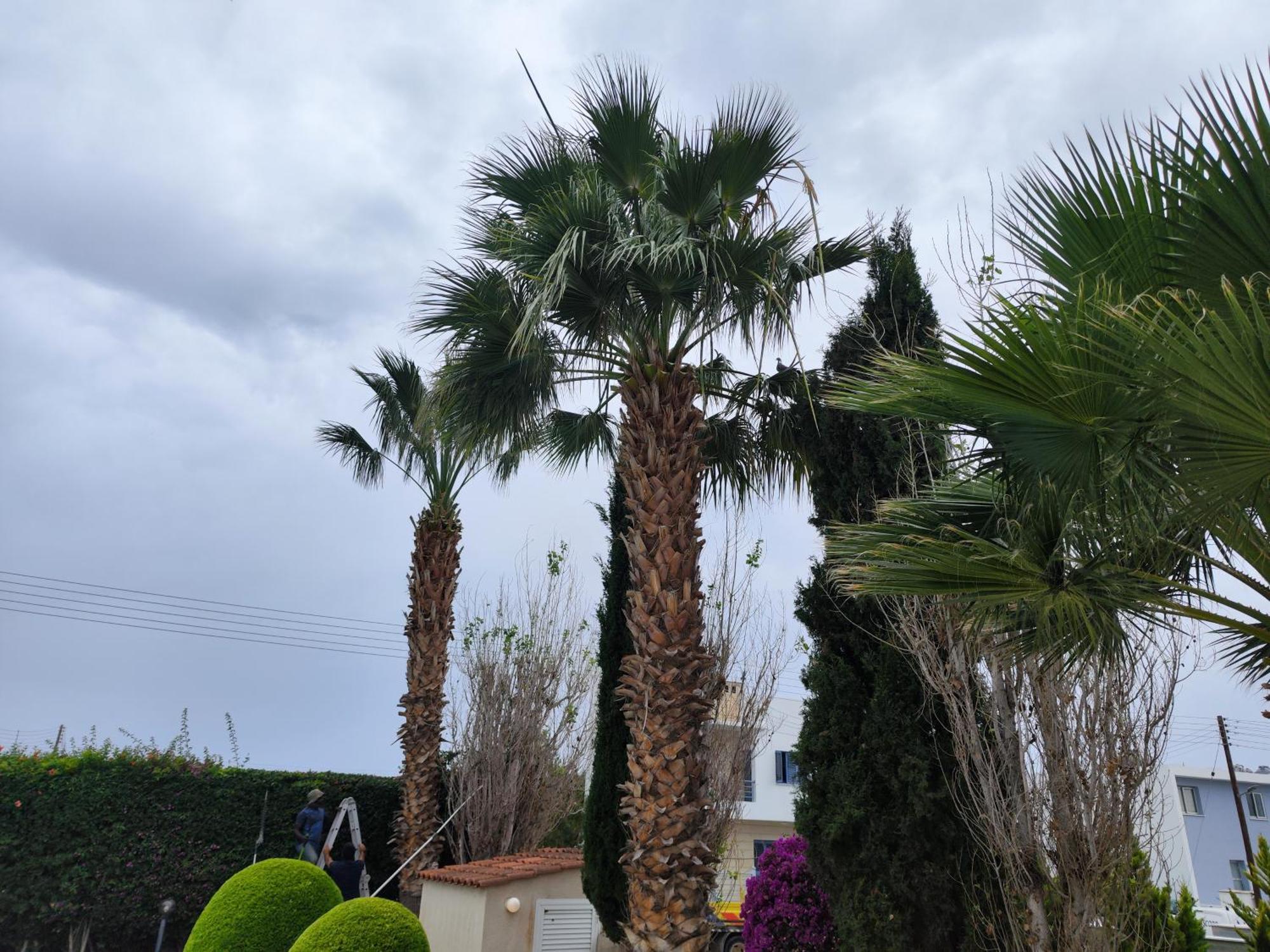Sunset Green 03 Paphos ภายนอก รูปภาพ