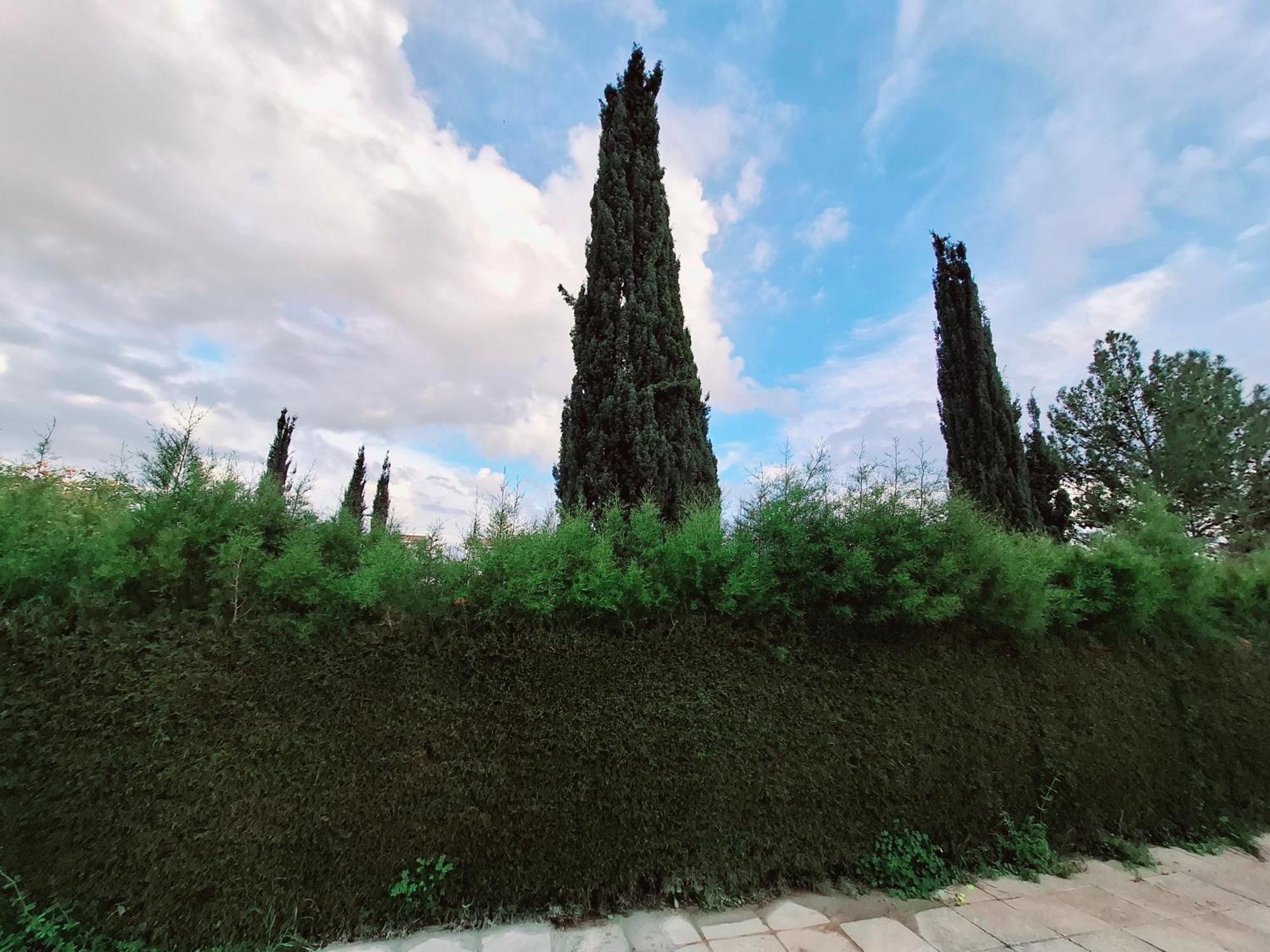 Sunset Green 03 Paphos ภายนอก รูปภาพ
