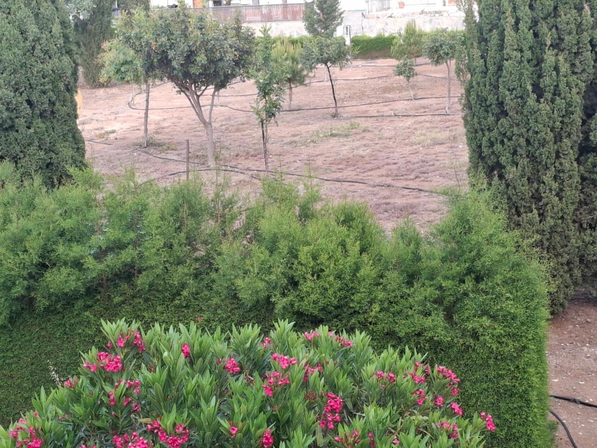 Sunset Green 03 Paphos ภายนอก รูปภาพ
